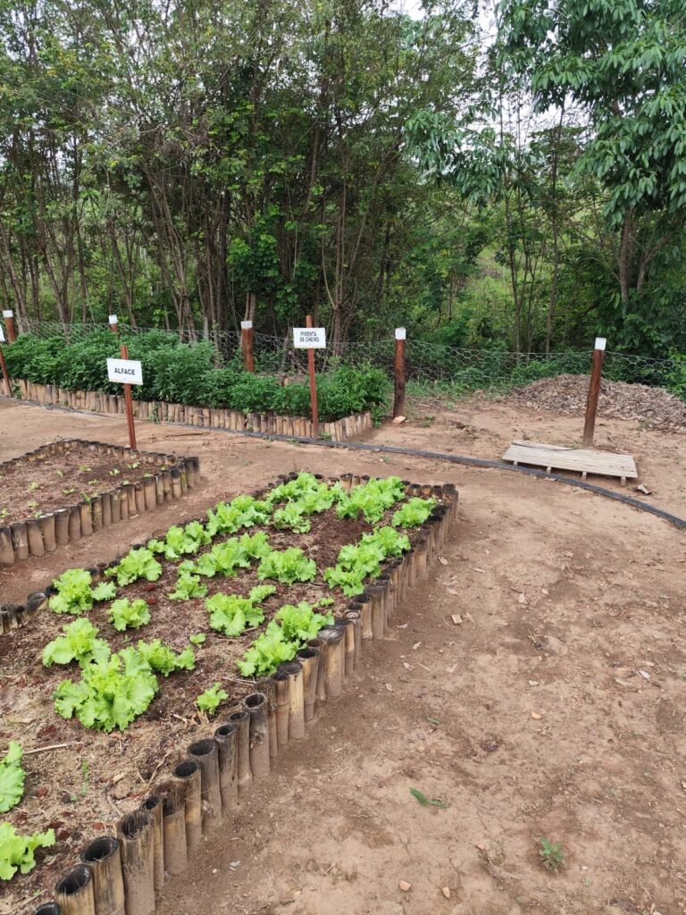 Chácara de 1.000 m² à venda no Condomínio Monte Hermon, Trindade-GO