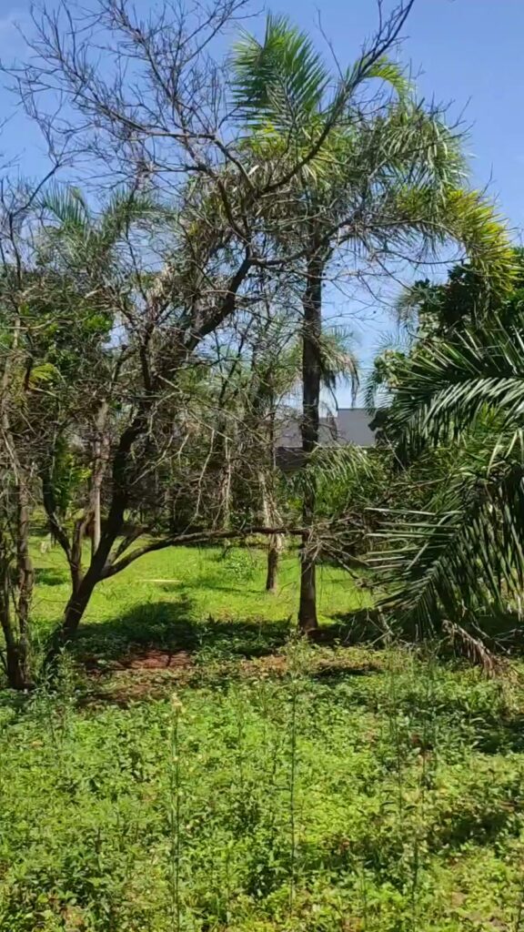 Chácara à venda no Condomínio Veredas do Lago, Trindade-GO